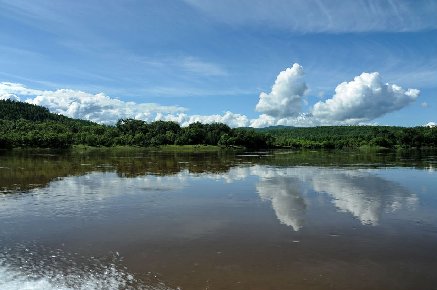 振兴龙江，共筑新时代东北辉煌篇章