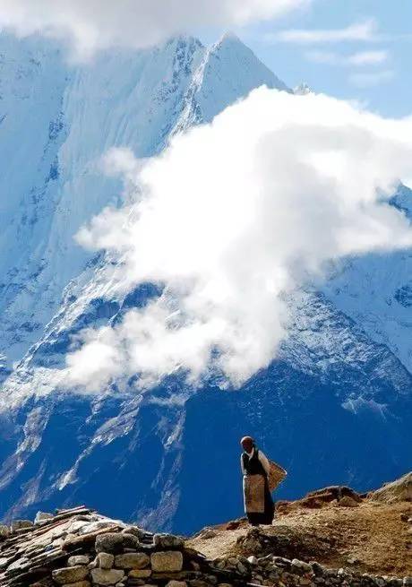 高原盛事,致敬西藏尊贵领导与深情同胞